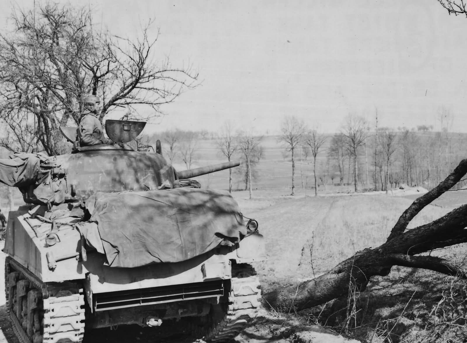 761st_Tank_Battalion_M4_Sherman_Supporti